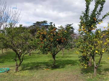 BAJO SU VALOR!! CASA QUINTA EN VENTA EN LA PEREGRINA, SIERRA DE LOS PADRES