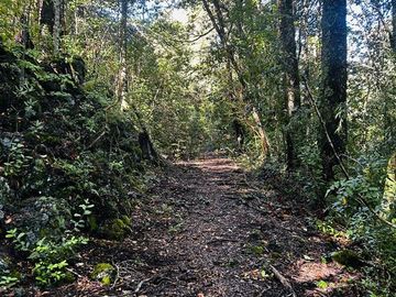 Parcela en Venta en kilómetros 10, 7, Camino Conguillio, Curacautín, Araucanía