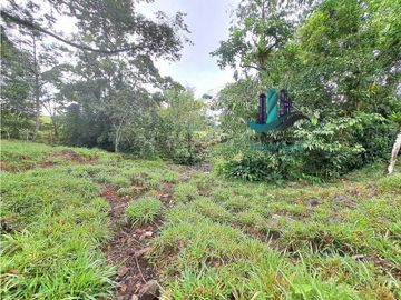 VENDO FINCA DE 13 HECTAREAS EN BUGABA A 700M.S.N.M.
