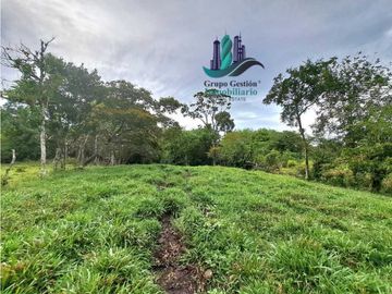 VENDO FINCA DE 13 HECTAREAS EN BUGABA A 700M.S.N.M.