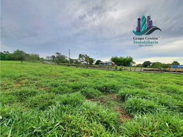 VENDO FINCA DE 13 HECTAREAS EN BUGABA A 700M.S.N.M.