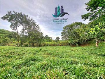 VENDO FINCA DE 13 HECTAREAS EN BUGABA A 700M.S.N.M.