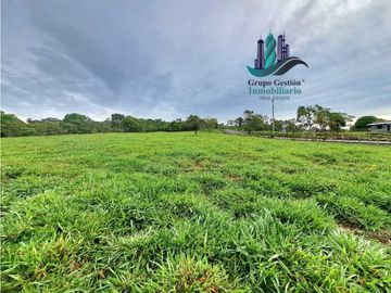 VENDO FINCA DE 13 HECTAREAS EN BUGABA A 700M.S.N.M.