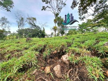 VENDO FINCA DE 13 HECTAREAS EN BUGABA A 700M.S.N.M.