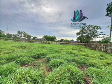 VENDO FINCA DE 13 HECTAREAS EN BUGABA A 700M.S.N.M.