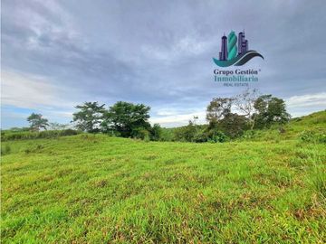 VENDO FINCA DE 13 HECTAREAS EN BUGABA A 700M.S.N.M.