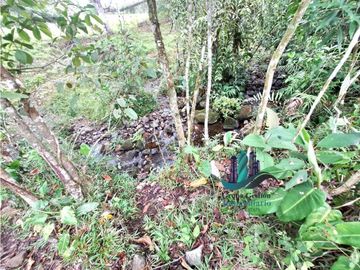 VENDO FINCA DE 13 HECTAREAS EN BUGABA A 700M.S.N.M.