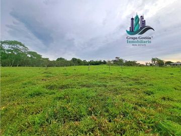 VENDO FINCA DE 13 HECTAREAS EN BUGABA A 700M.S.N.M.