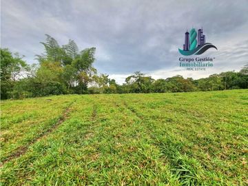 VENDO FINCA DE 13 HECTAREAS EN BUGABA A 700M.S.N.M.