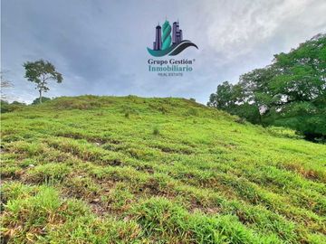 VENDO FINCA DE 13 HECTAREAS EN BUGABA A 700M.S.N.M.