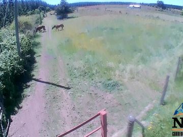 Terreno de 12.500 mts2 con cabaña en construcción se vende