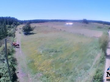 Terreno de 12.500 mts2 con cabaña en construcción se vende
