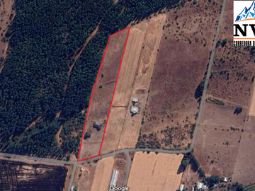 Terreno de 12.500 mts2 con cabaña en construcción se vende