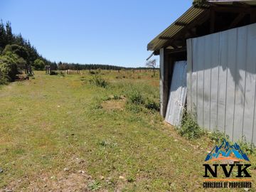 Terreno de 12.500 mts2 con cabaña en construcción se vende