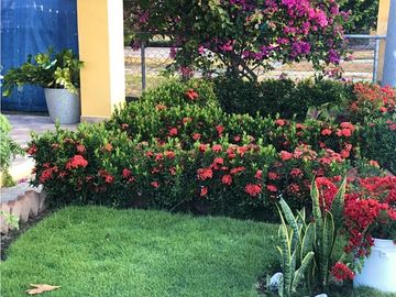 SEA CONFIABLE VENDE CASA EN SANTA CLARA 2 RECAMARAS