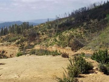 Parcela en Venta en Lago Vichuquen - Culenmapu
