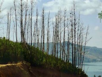 Parcela en Venta en Lago Vichuquen - Culenmapu