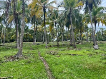 Lotes en Buritaca, Magdalena, cerca al Parque Tayrona
