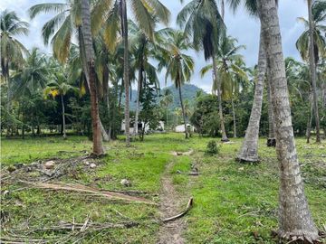 Lotes en Buritaca, Magdalena, cerca al Parque Tayrona