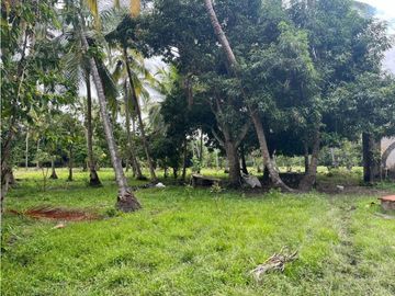 Lotes en Buritaca, Magdalena, cerca al Parque Tayrona