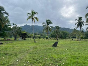 Lotes en Buritaca, Magdalena, cerca al Parque Tayrona