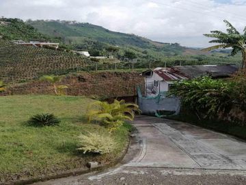 FINCA EN VENTA CONDINA - PEREIRA