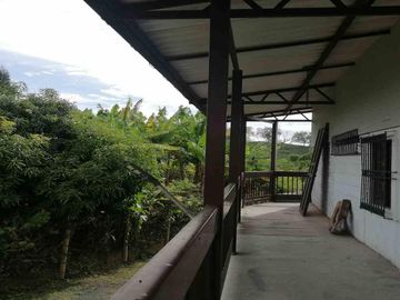 FINCA EN VENTA CONDINA - PEREIRA