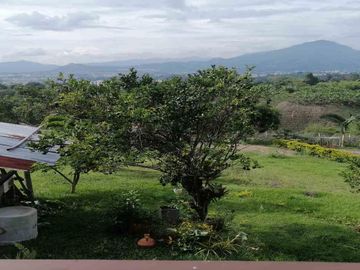 FINCA EN VENTA CONDINA - PEREIRA