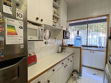 MAITENCILLO