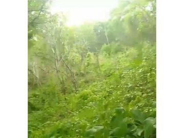 Finca de 4 hectáreas en venta en Capira, Cermeño (DR)