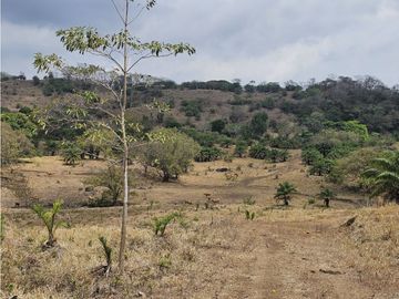 Finca de 4 hectáreas en venta en Capira, Cermeño (DR)