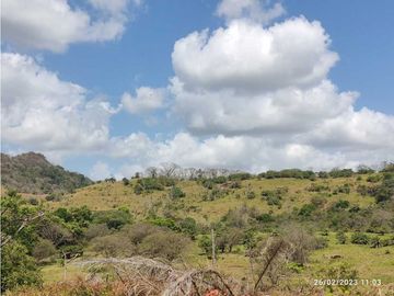 Finca de 4 hectáreas en venta en Capira, Cermeño (DR)