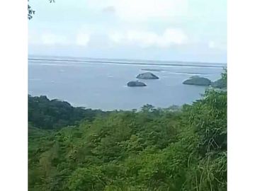Finca de 4 hectáreas en venta en Capira, Cermeño (DR)