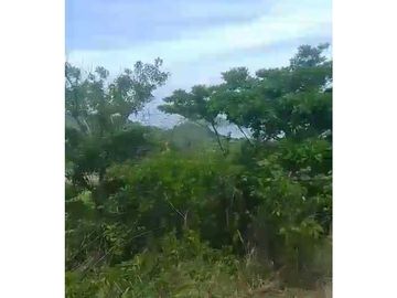 Finca de 4 hectáreas en venta en Capira, Cermeño (DR)