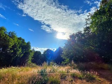 1 Hectárea con Bosque Nativo y Casa