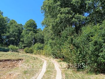 1 Hectárea con Bosque Nativo y Casa