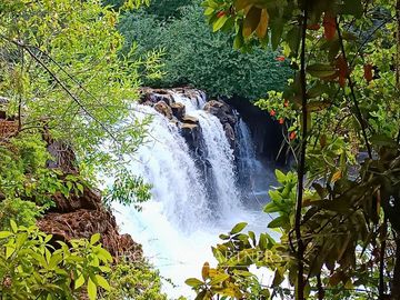 Terrenos en Reserva biológica Huilo Huilo