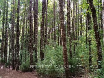Terrenos en Reserva biológica Huilo Huilo