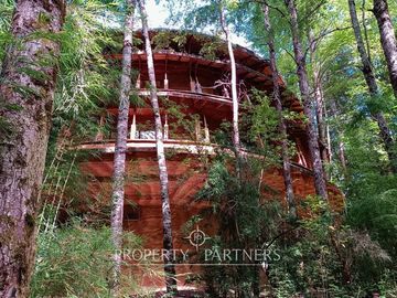 Terrenos en Reserva biológica Huilo Huilo