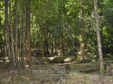 Terrenos en Reserva biológica Huilo Huilo