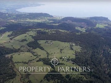 Campo en Lago Ranco