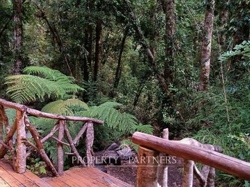 Casa refugio en Reserva Biológica Huilo Huilo