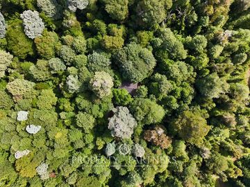 Casa refugio en Reserva Biológica Huilo Huilo