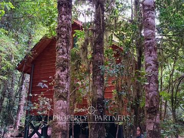 Casa refugio en Reserva Biológica Huilo Huilo