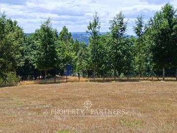 Terreno de más de 1 hectárea en  Panguipulli sector Ñancul.