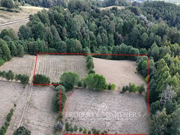 Terreno de más de 1 hectárea en  Panguipulli sector Ñancul.