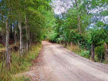 Terreno de más de 1 hectárea en  Panguipulli sector Ñancul.