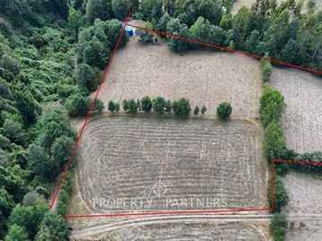 Terreno de más de 1 hectárea en  Panguipulli sector Ñancul.
