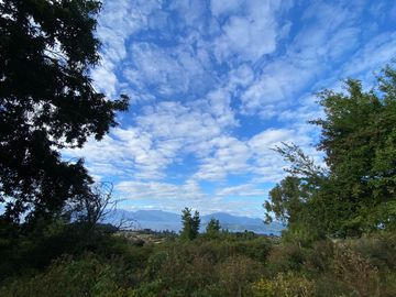 Terreno Ilihue vista al lago