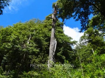 Terreno con Vista Panoramica en Huilo Huilo